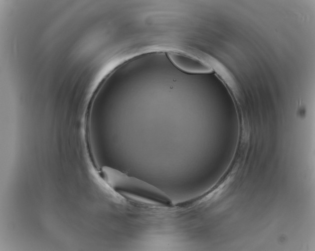 X0000092050958200709191118