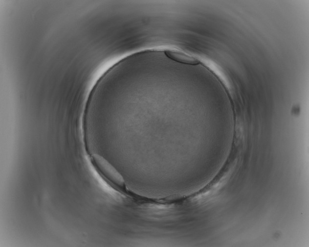 X0000092050959200709191118