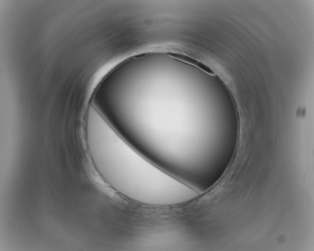 X0000092050960200709191118