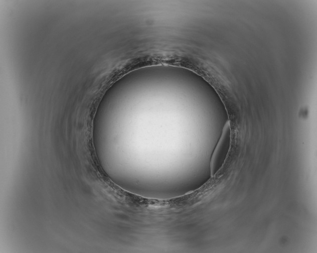 X0000092050961200709191117