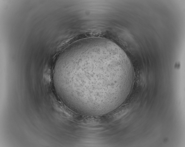 X0000092050962200709191117