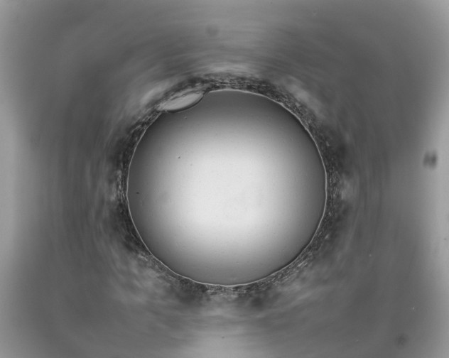 X0000092050965200709191117