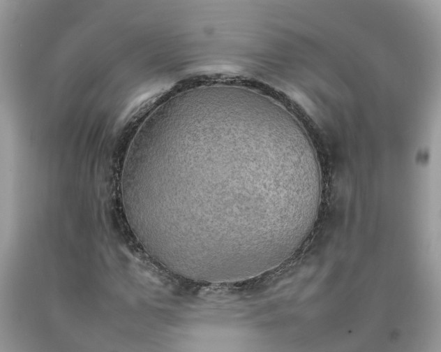 X0000092050967200709191117