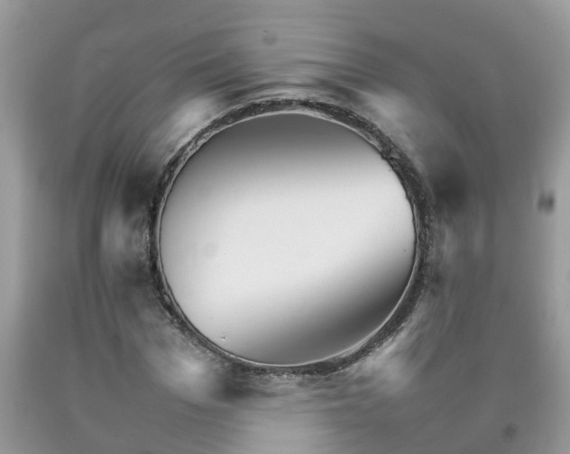 X0000092050969200709191117