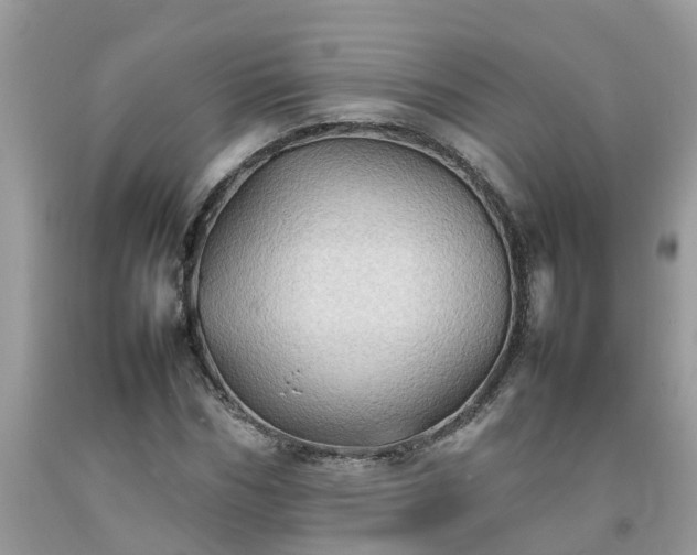 X0000092050970200709191117