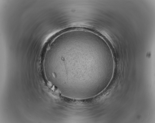 X0000092050971200709191117