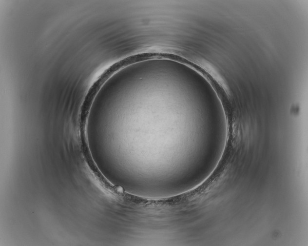 X0000092050972200709191117