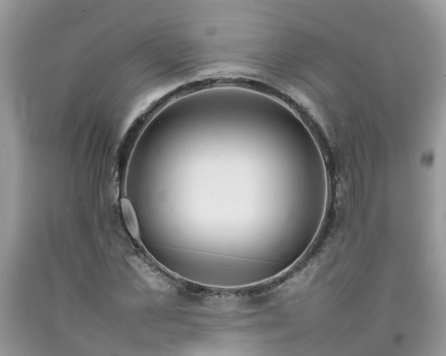 X0000092050973200709191117