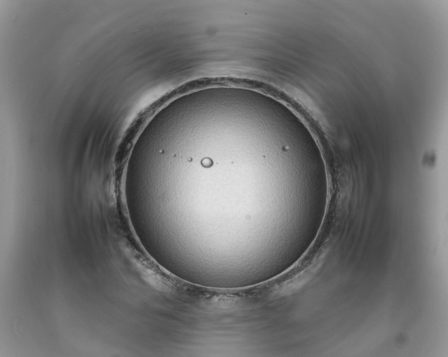 X0000092050974200709191117