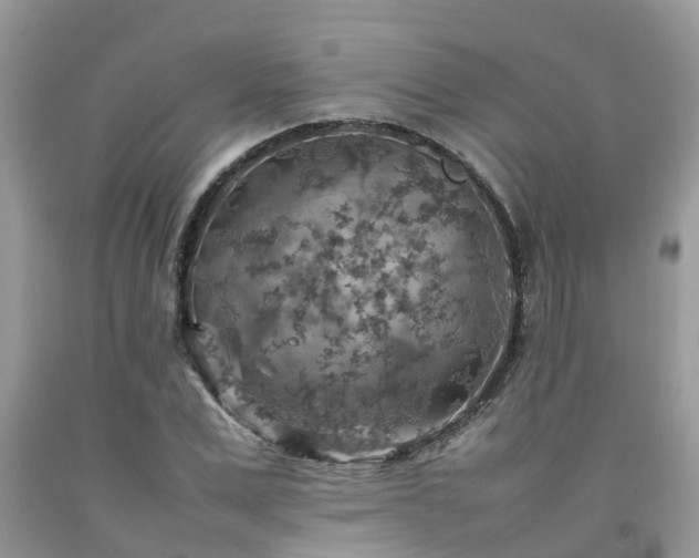 X0000092050975200709191117