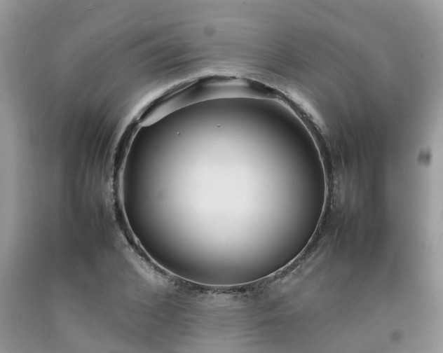 X0000092050976200709191117