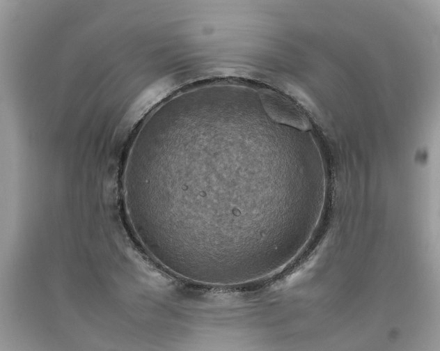 X0000092050977200709191117