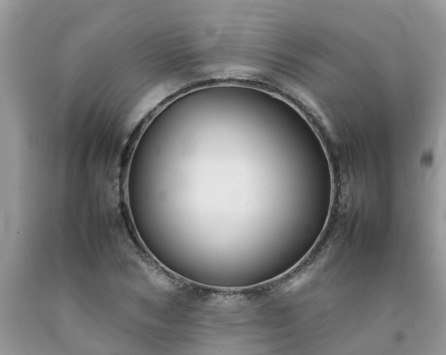 X0000092050978200709191117