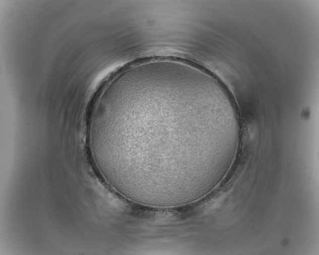 X0000092050979200709191117