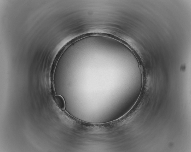 X0000092050980200709191117