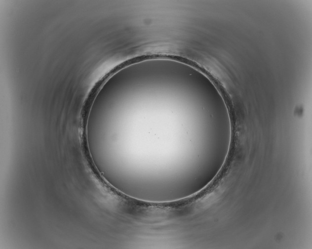 X0000092050981200709191117