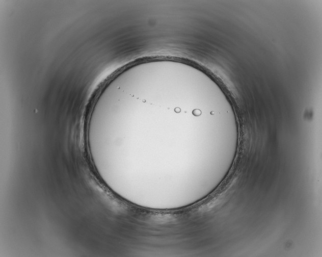 X0000092050982200709191117