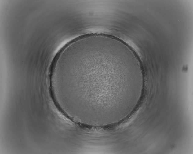 X0000092050983200709191117