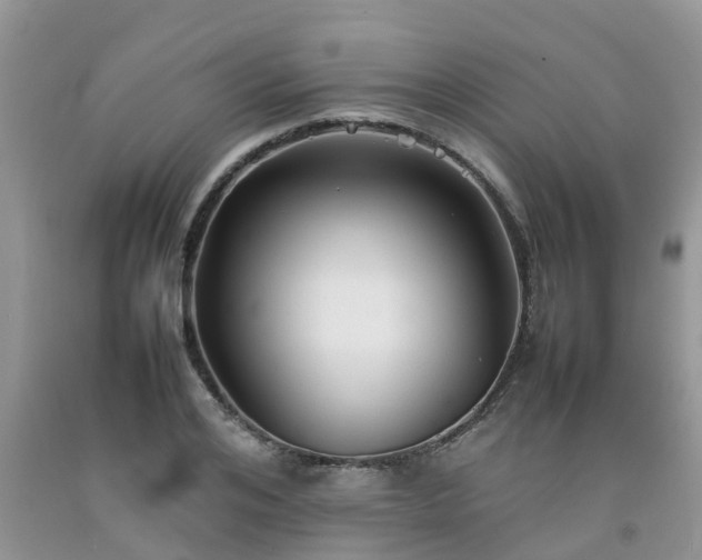 X0000092050984200709191117