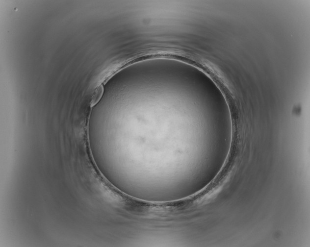 X0000092050985200709191117