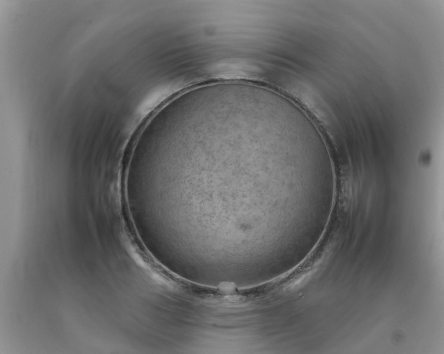 X0000092050986200709191117