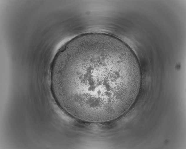 X0000092050987200709191117