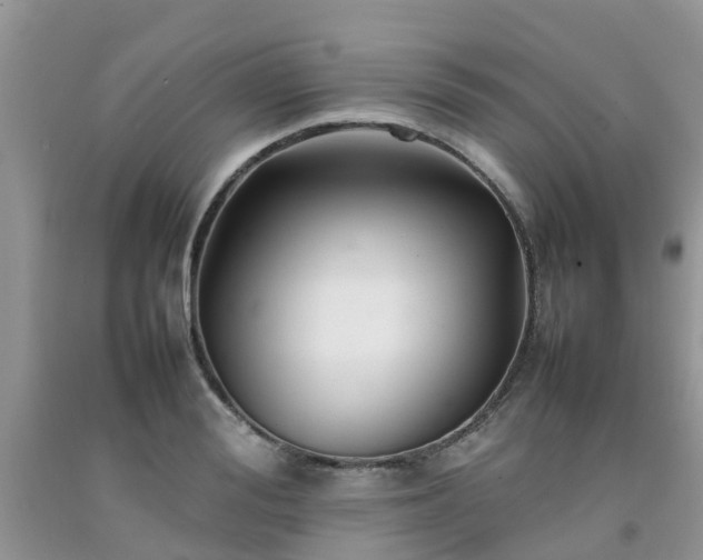 X0000092050988200709191117