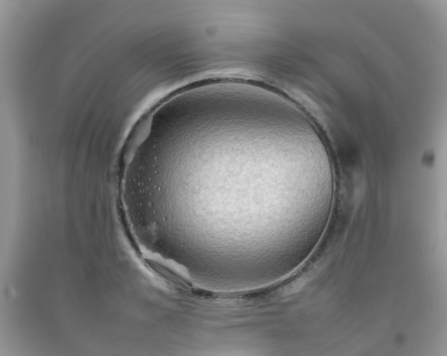 X0000092050989200709191117