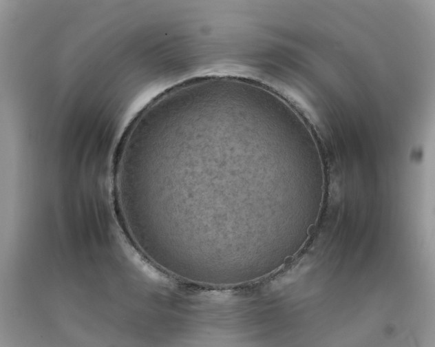 X0000092050990200709191117