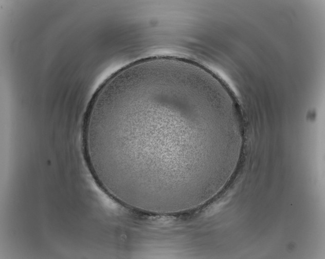 X0000092050991200709191117