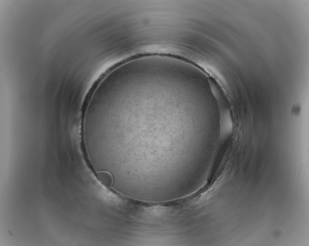 X0000092050992200709191117