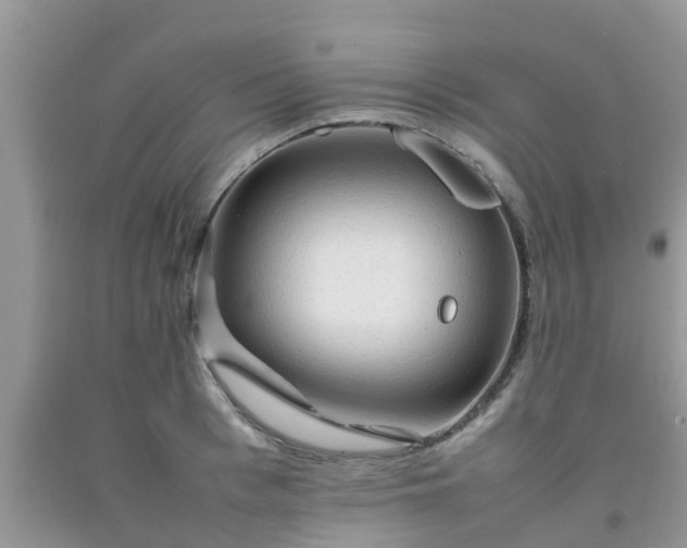 X0000092050993200709191117