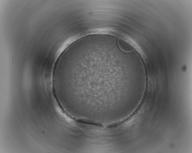 X0000092050994200709191117