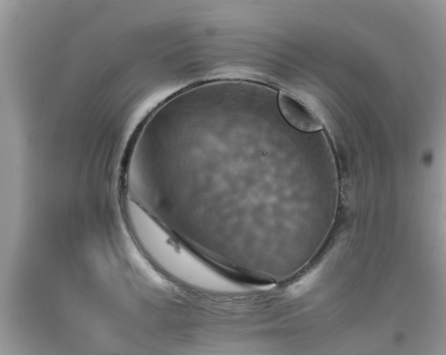 X0000092050995200709191117