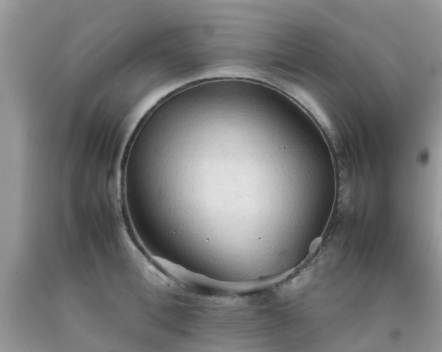 X0000092050996200709191117