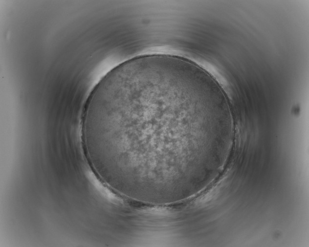 X0000092050998200709191117