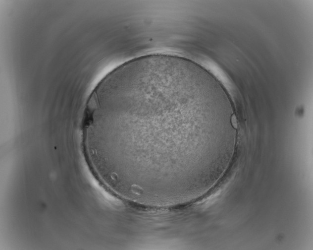 X0000092050999200709191117