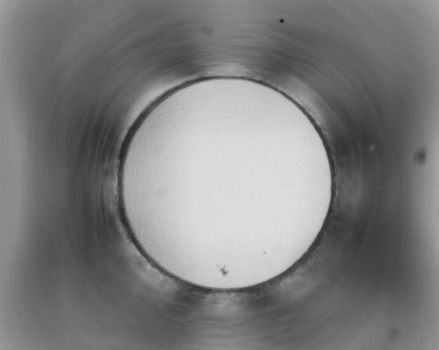 X0000092051000200709191117