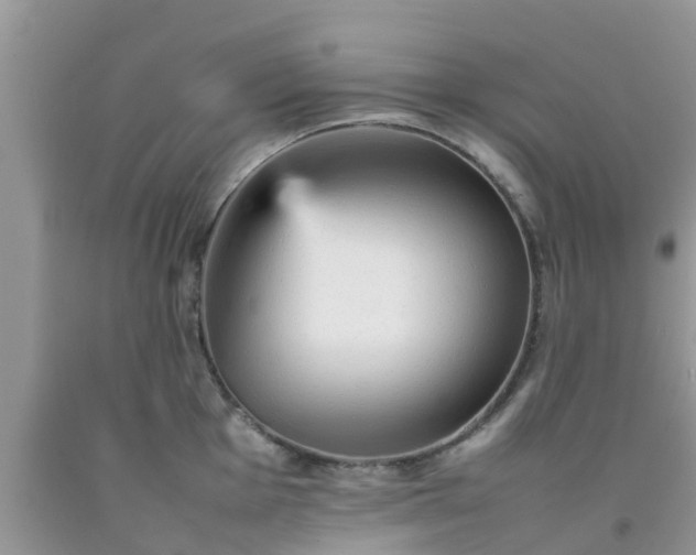 X0000092051001200709191117