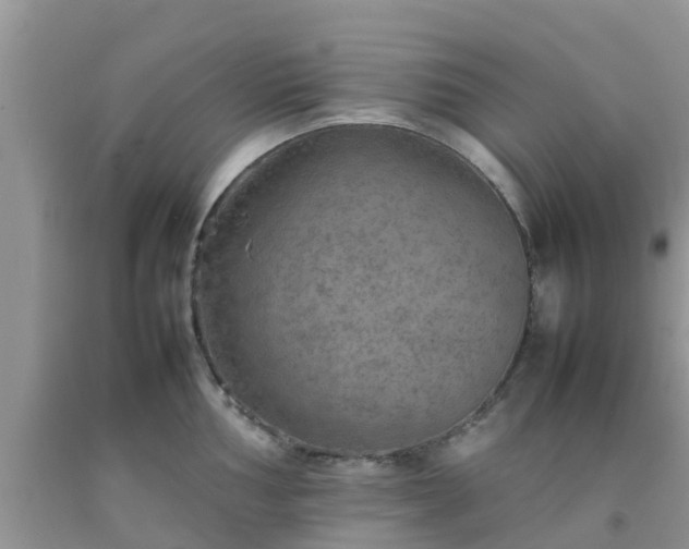 X0000092051002200709191117