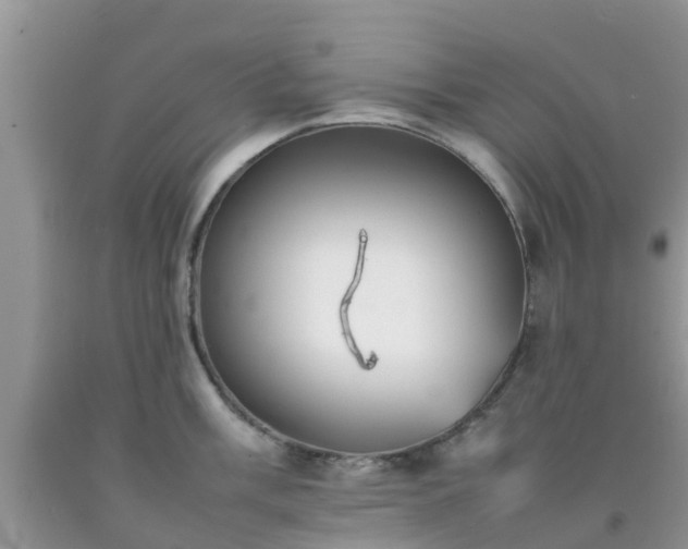 X0000092051003200709191117