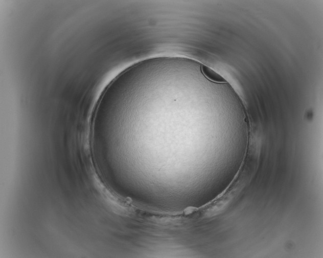 X0000092051004200709191117