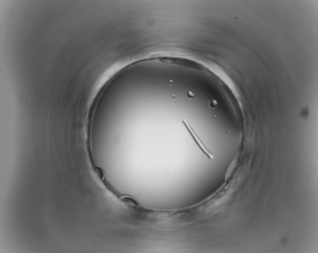 X0000092051005200709191117