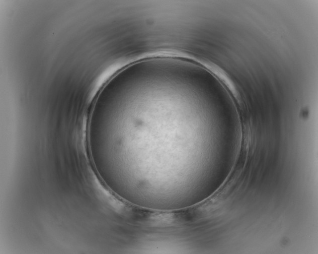 X0000092051006200709191117