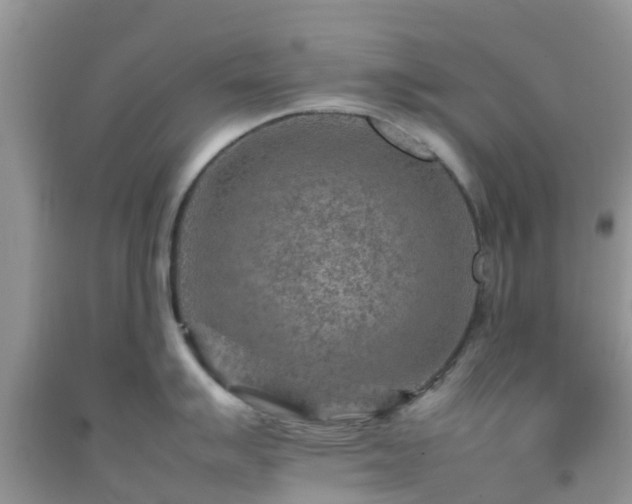 X0000092051007200709191117