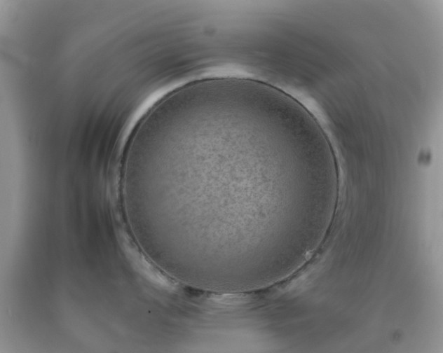 X0000092051008200709191117