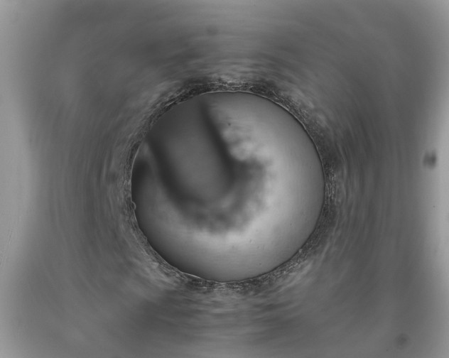 X0000092051009200709191116