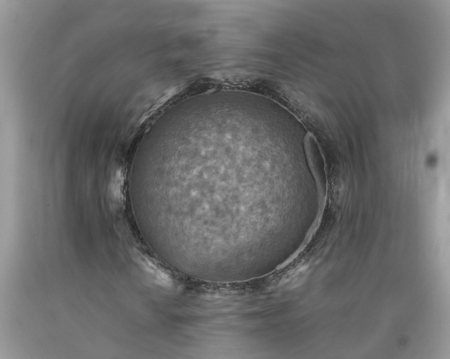 X0000092051010200709191116