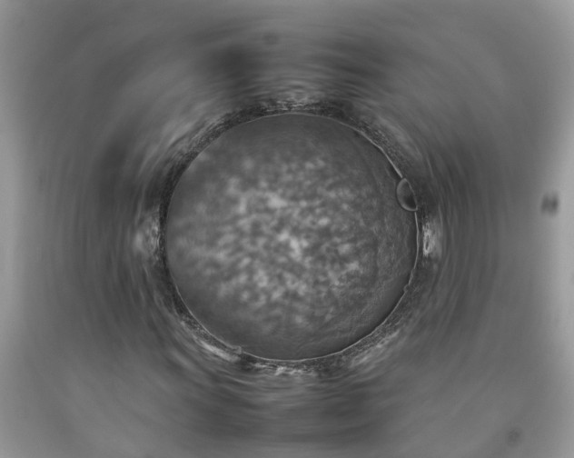 X0000092051011200709191116