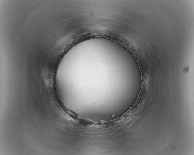 X0000092051012200709191116